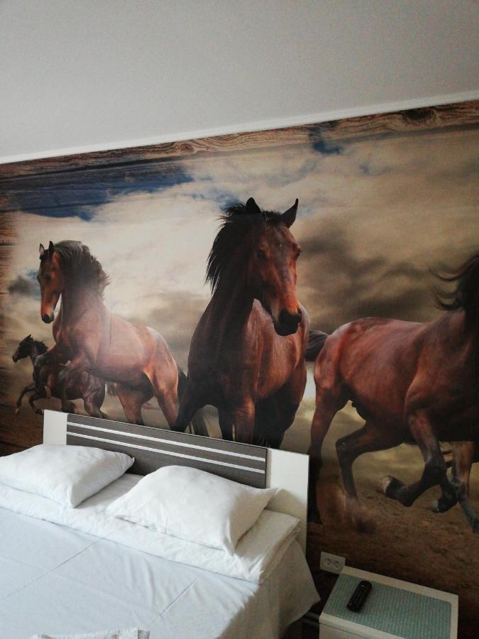 Hotel Hobby Hunedoara Esterno foto